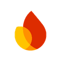 Firebase Studio logo