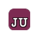 Junction Signal Insights logo