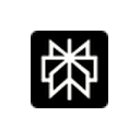 Perplexity AI logo