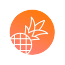 Pineapple Builder logo