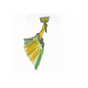 StudyforCitizenship logo