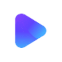 Translate Video logo